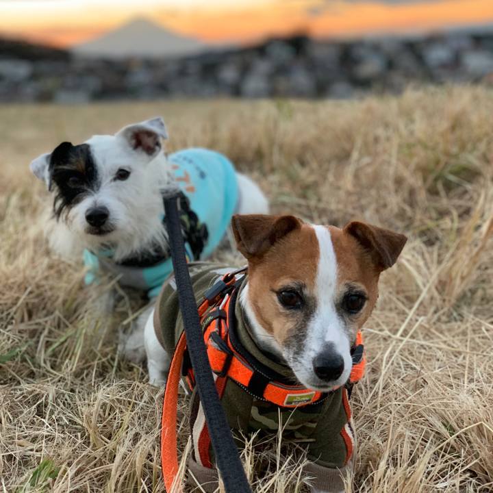 F26781f8 d089 4b14 b3c6 27217661ff1e 1575533984930