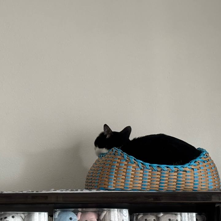 F267977d 6b13 4615 acaf 1f84c406f6ea 1773206891977