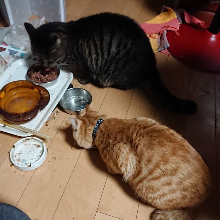 F267b7f8 7e67 4bef bdcb 92ee9967a4ba 1638996140616