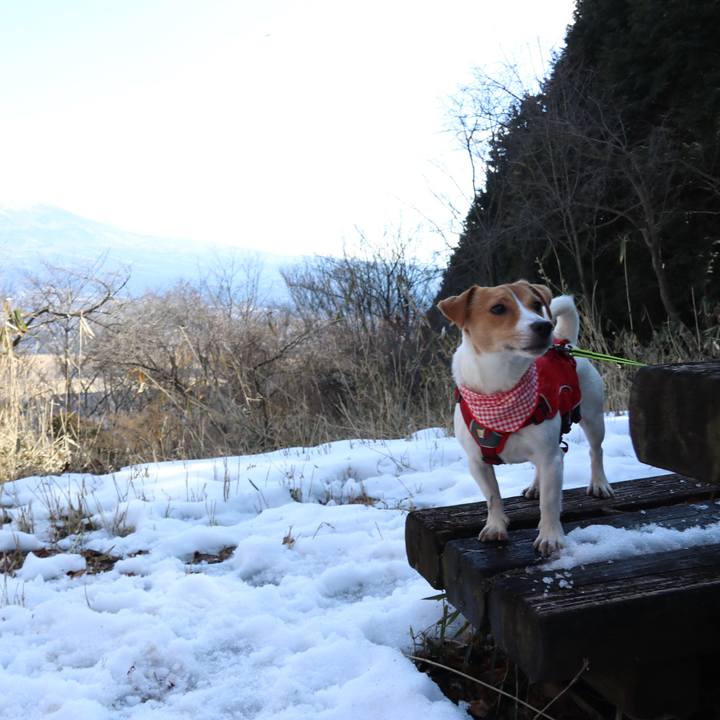 F267e1b7 7d25 473d 86b4 de15669feb31 1518863106963