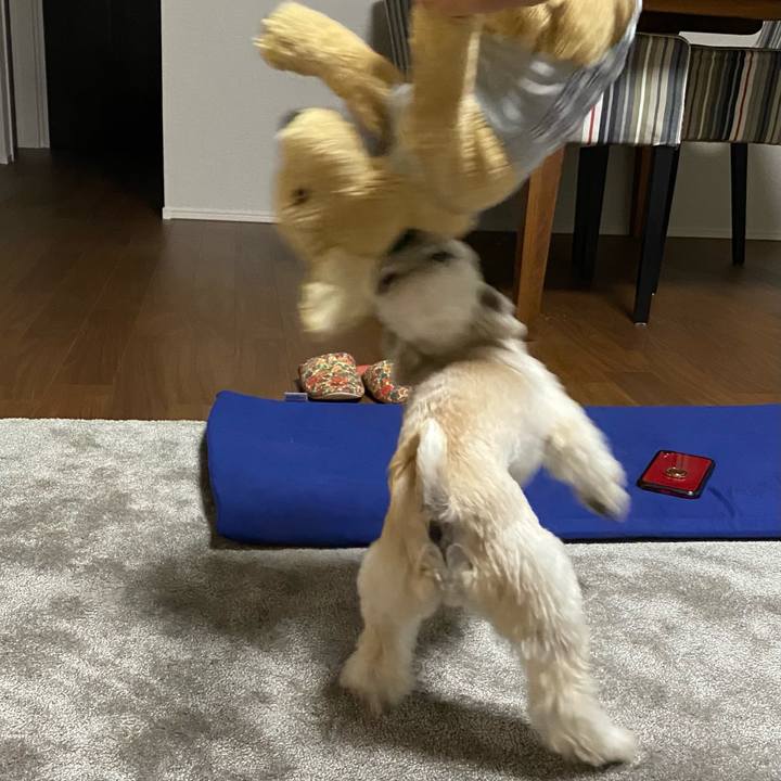 F26808e3 d66a 4a77 8cfd 4caadb9ad156 1611398446484