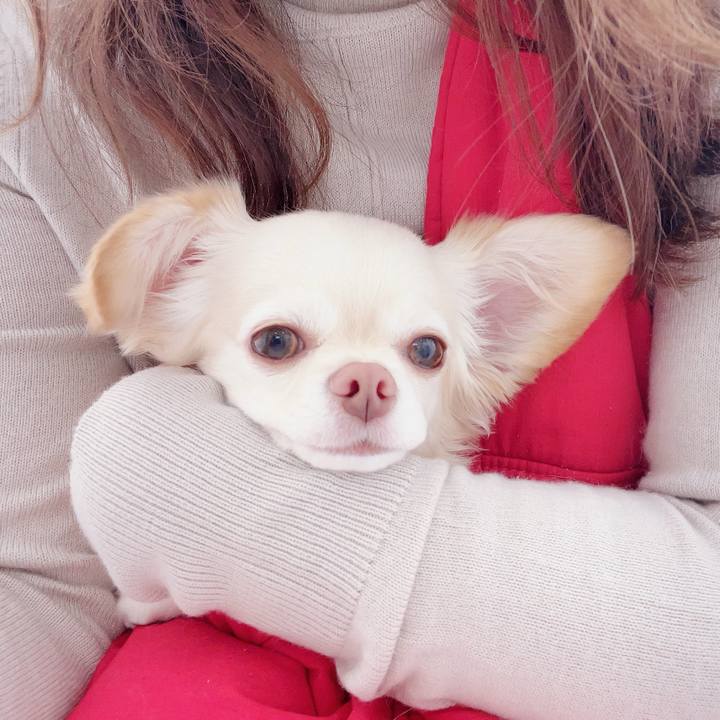 F2681eb2 afb3 4d28 81d1 2513d2ec9610 1698391589136