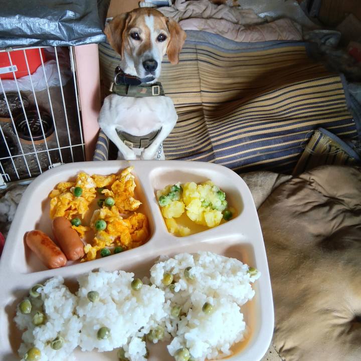 F26823f6 b24f 4e0e be0a f3427741c022 1718974246622