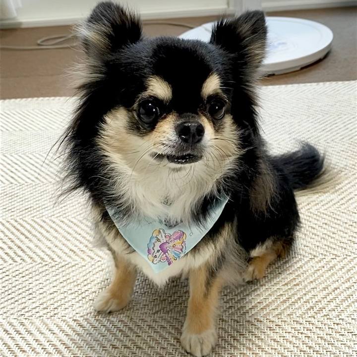 F2684cb6 811f 4f6c 99d5 db770e8b1274 1656569797714