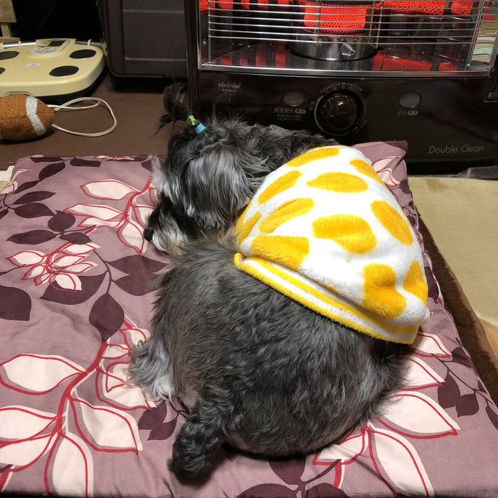 F2686f7e 8ee2 4ec3 a07b 975d1f7949db 1514532885539