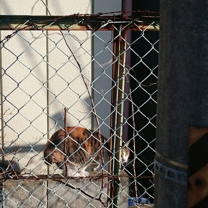 F26880bc 31bd 45b0 989c e925fa65ae90 1519083058123