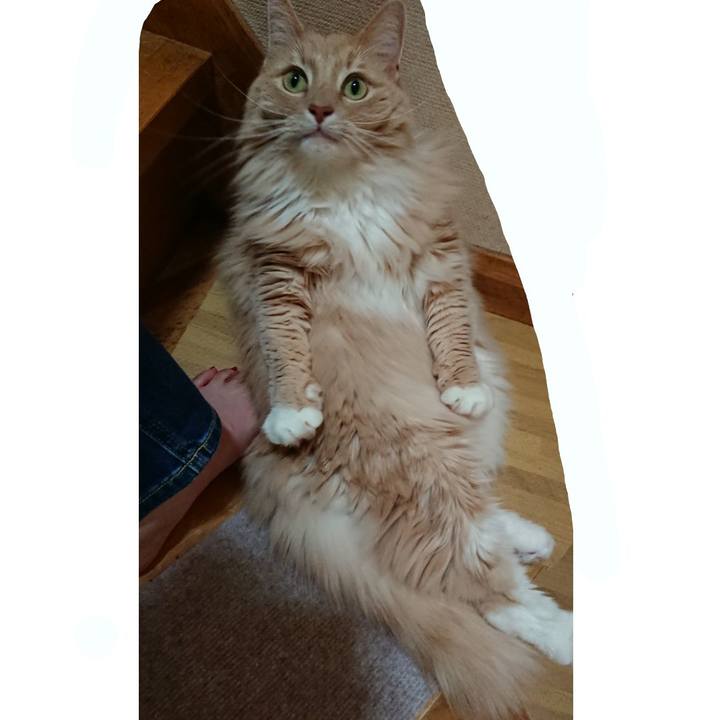 F268a217 2bcb 47fc ba8b 9ad6f8e26610 1556445594637