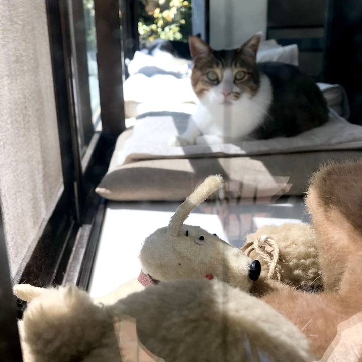 F268dcbe dc2c 4155 a5cf 8568a4e97aff 1553498424385