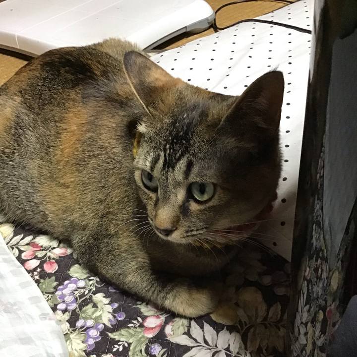 F268e57f 8240 4aa3 8daa e097138b2bde 1623149140727