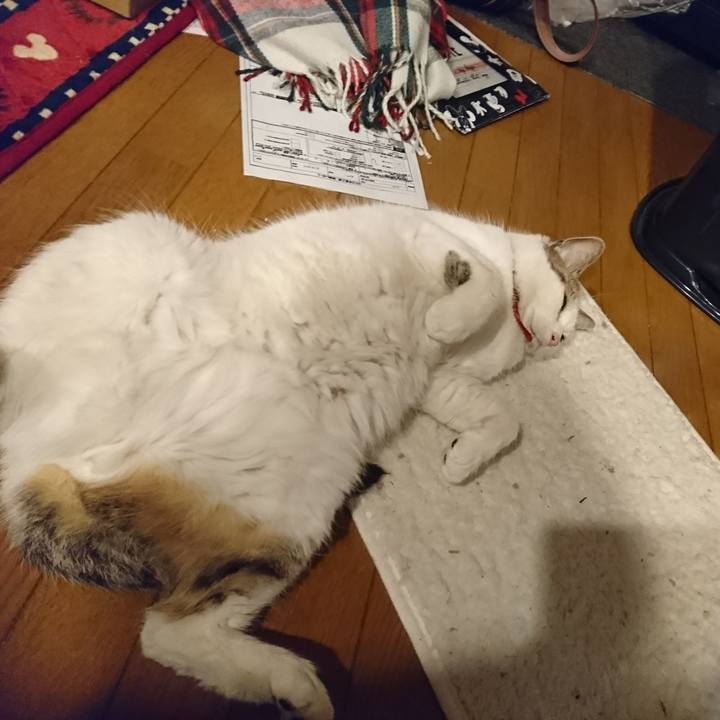 F268fdaf a667 4eea b664 5de8cfcf6b69 1548946066796