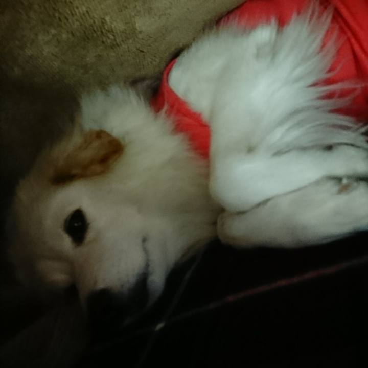 F2690fe3 c300 4c75 a688 b18b8c542974 1510518543234