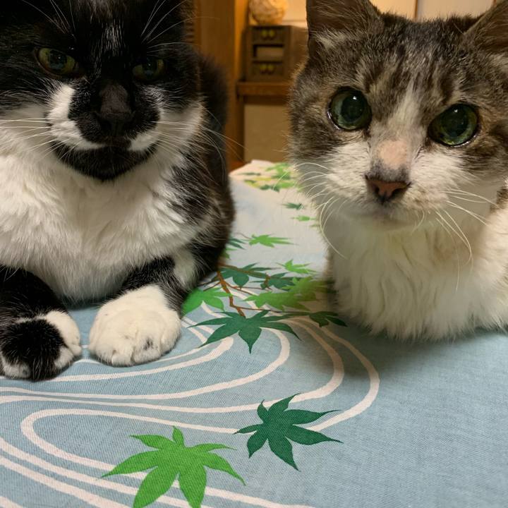 F2692161 9202 4a43 89c9 d9a75a57ff22 1625649134893