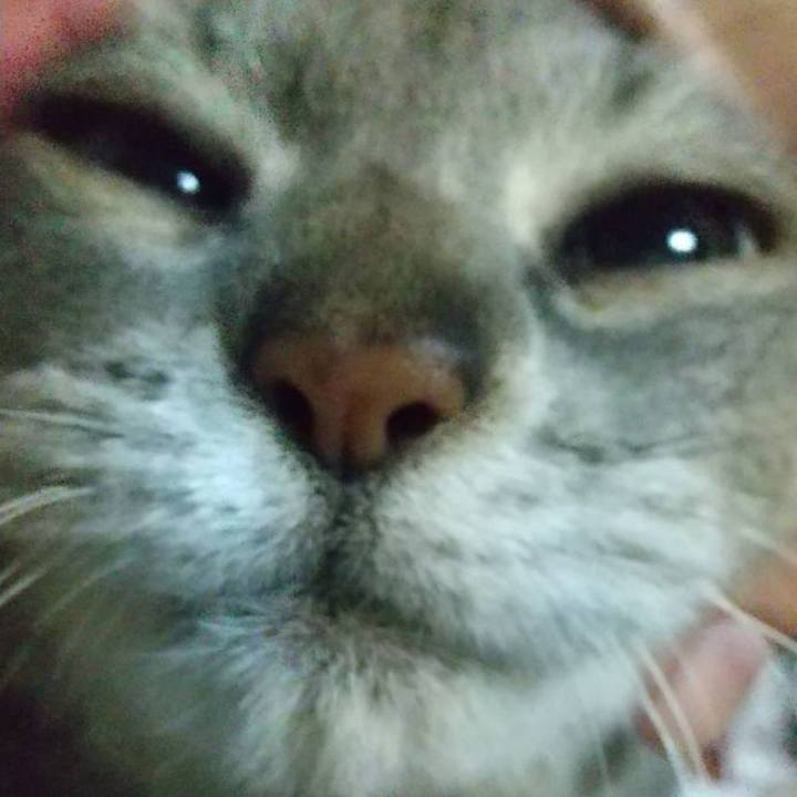 F26943f5 b181 44cd 9248 c41c0cd0e9f0 1709131277364