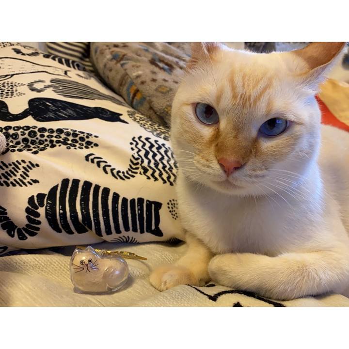 F2695e3c 29bf 4829 a6dc e762fda1fad8 1752755616536