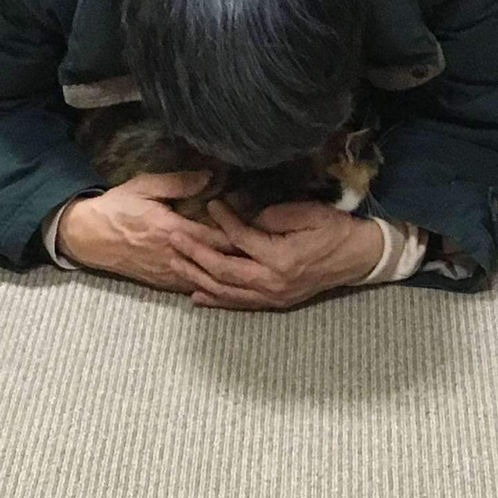 F2696e9c 194a 47a2 acc0 3bd15e8505c8 1519567979433