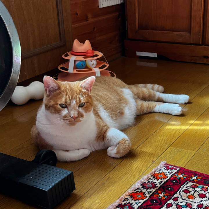 F2698e65 2e73 470e bc23 0c8e7e37062d 1720570307755