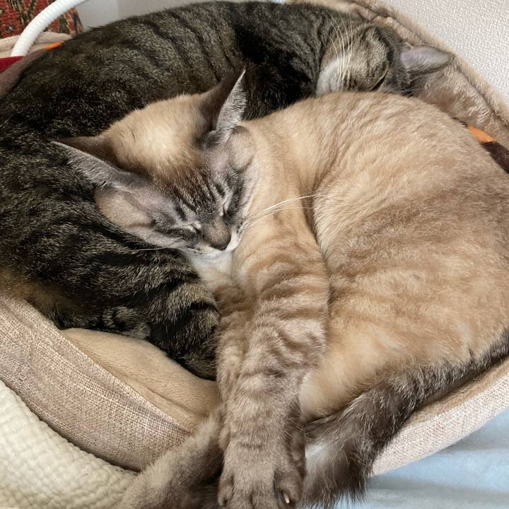 F2699c1b 40b6 4f33 bc2c c1b927bfb9bc 1771735770404