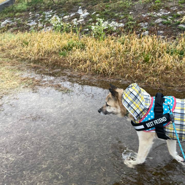 F269f80d 0362 4563 8a13 976bc4a78e9d 1711287410289