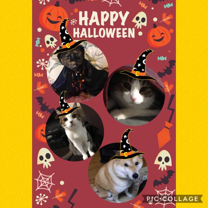 F269f814 4b15 485c ad8d 8d02f120afa2 1571821211908