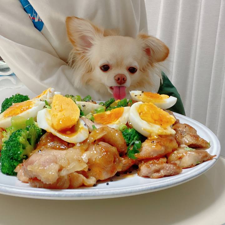 F26a2510 0c14 41dd afaa bfd36beaee32 1647080964985