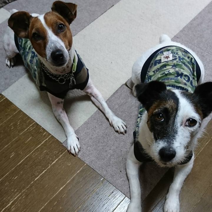 F26a25de d466 4b55 99cc c7e7255a5526 1595039323493