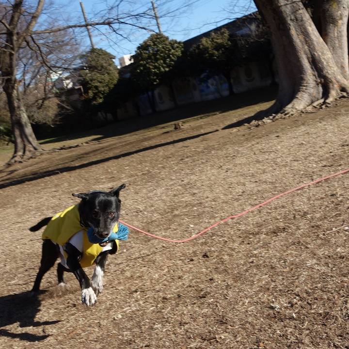 F26a2bff 78b8 4562 9095 dea106eb0a88 1739924919742