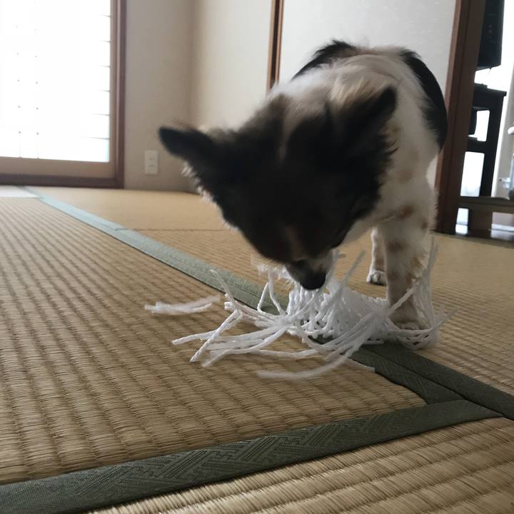 F26a2cc5 dc3d 4333 833b 515daa750cf6 1531005496883