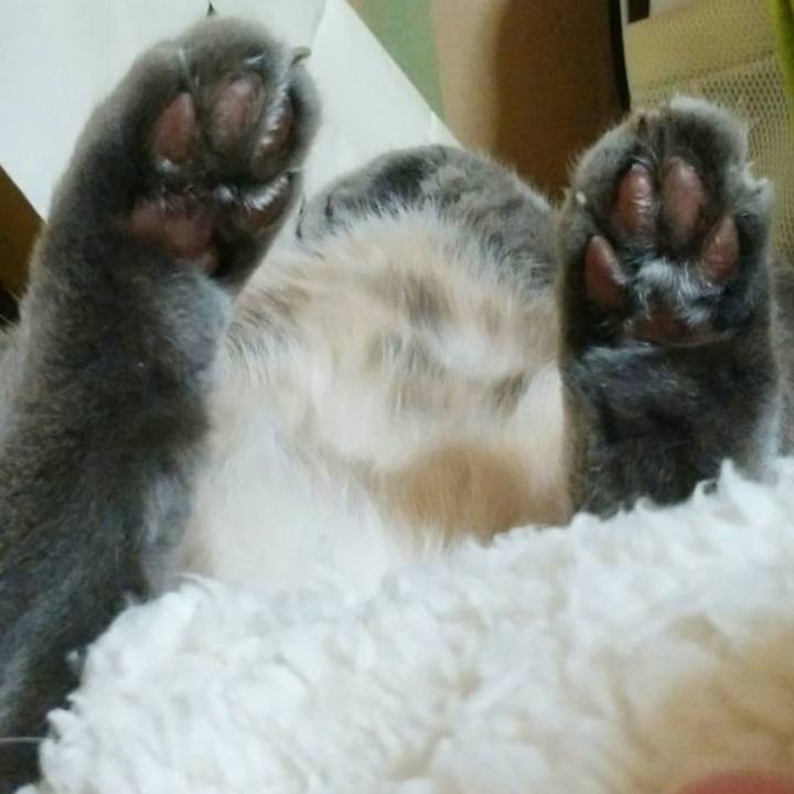 F26a5afc 84b7 4f57 aade da9b62a080ea 1709213933850