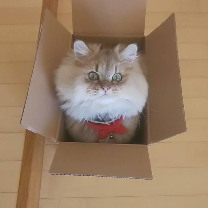 F26a60a0 f5fa 4306 b735 6c8f4a5bd8cf 1573990119761