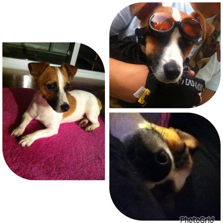 F26a6e18 e2a4 40a0 9c9b e1fc0e65ebe1 1691410322434