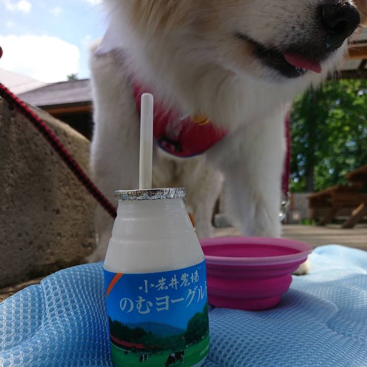 F26a7a92 ebe5 4ce6 b957 fb4b1aa8b966 1530499839492