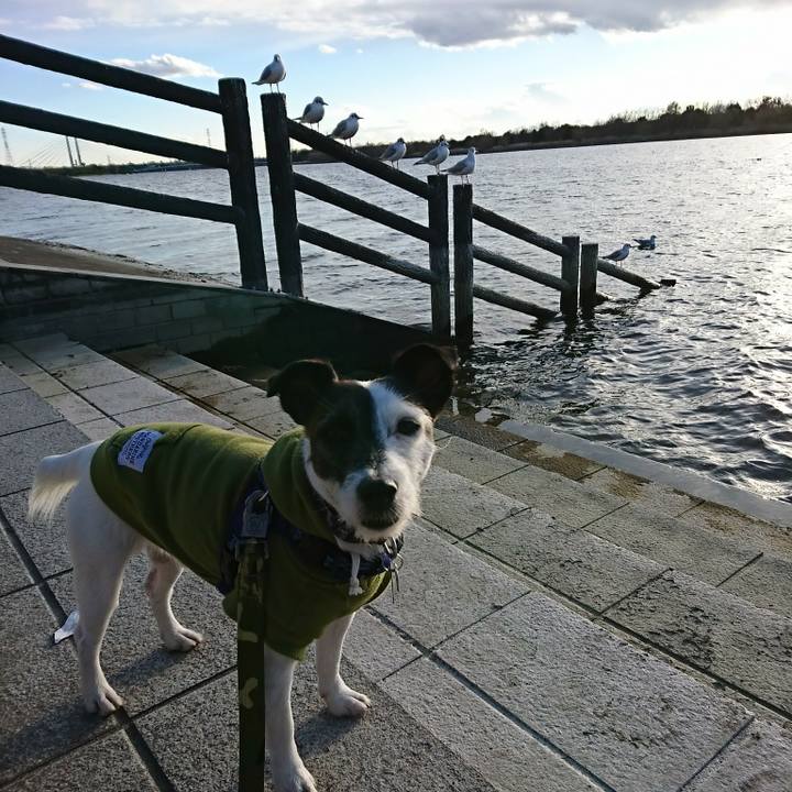 F26ab4d0 1e15 4f06 ae77 0872bba3ed09 1514789986945