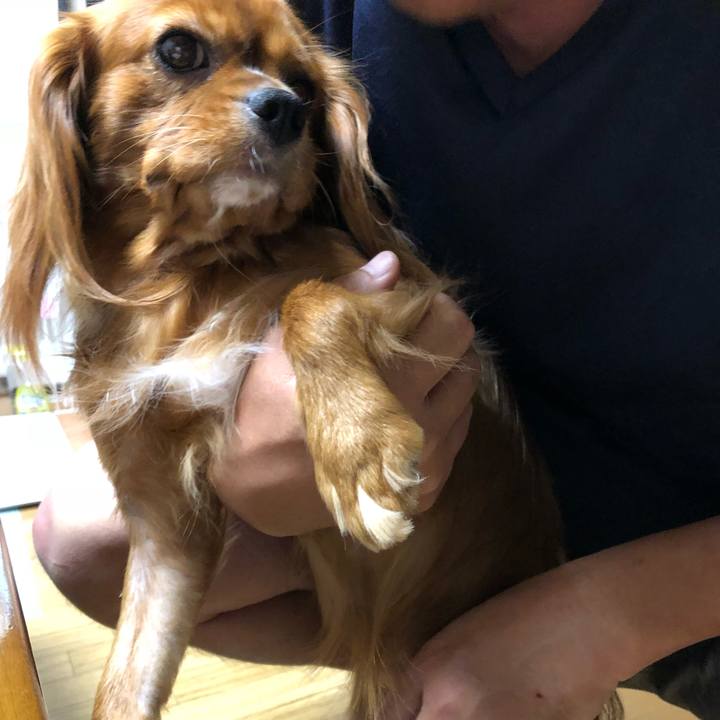 F26add71 a2da 4f8f 80c5 b406f6840dad 1536318226065