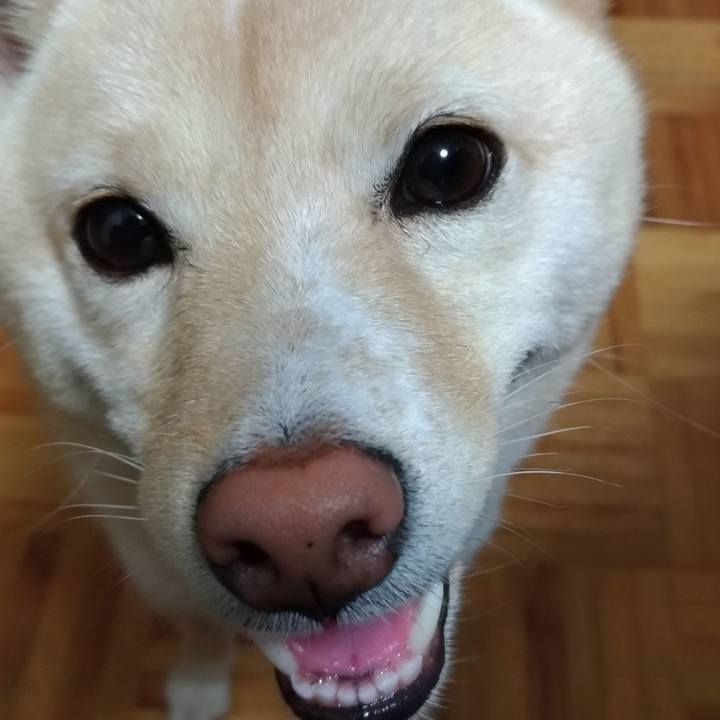 F26af501 8469 4871 82bf 8a1159c0ec5a 1566164845815