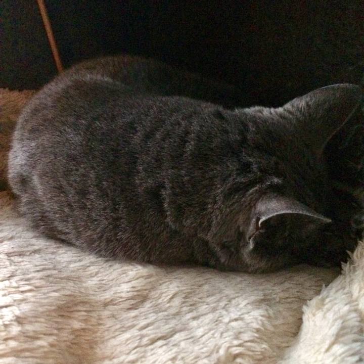 F26afbc8 a15e 4a62 b0e8 178ccfe75835 1542839948114