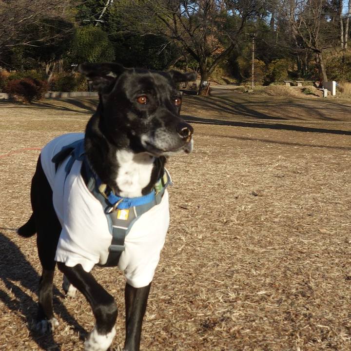 F26afd6c 4f6c 4bc1 aa26 ffbeaf645656 1706923984483