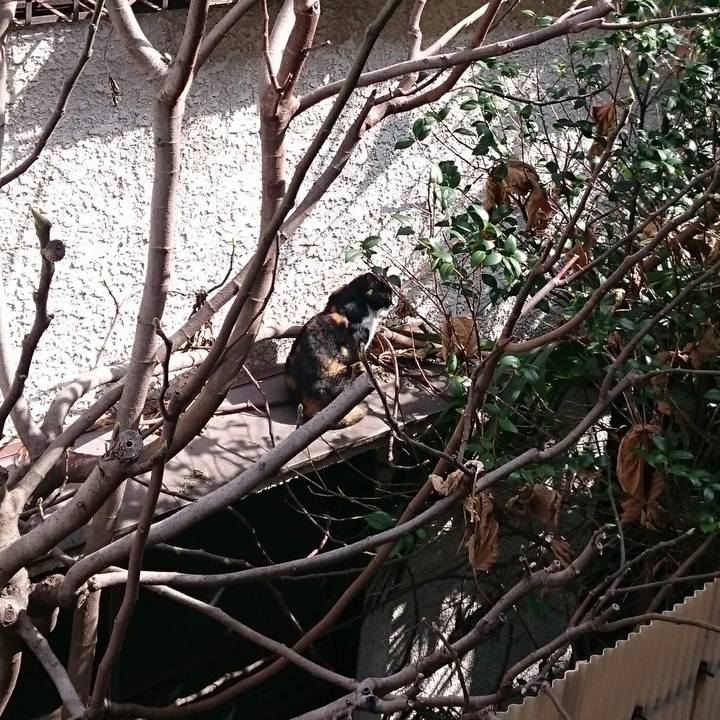 F26afde1 0e95 45f5 a5d9 77848b759ff2 1521851450881