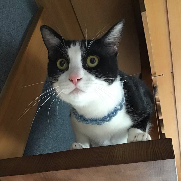 F26b00b1 6673 4ba6 b7f3 2d0973b308d3 1665036064264