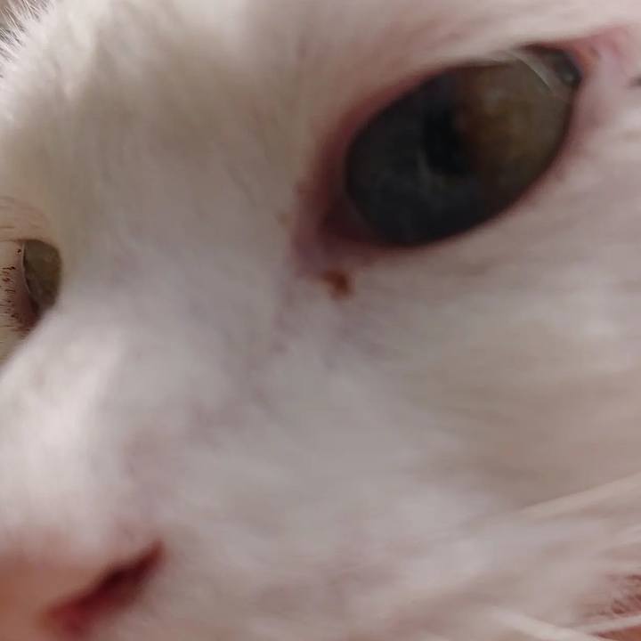 F26b0bfc 3e88 41d2 824d 139752906739 1648894582014