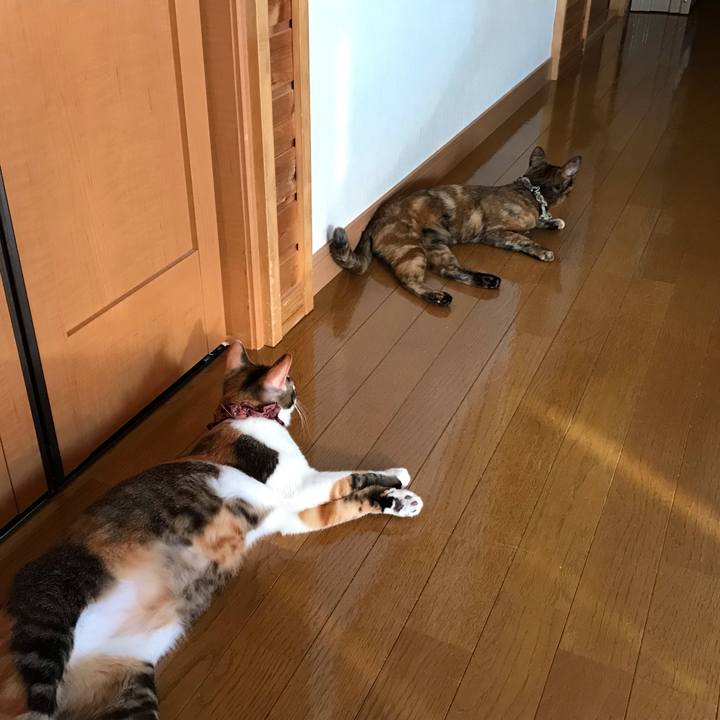 F26b10ec 0e17 4719 b204 1d41604d006d 1625214390009