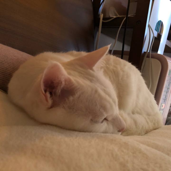 F26b59ae 81cd 4826 9f89 a788b8800454 1594994412686