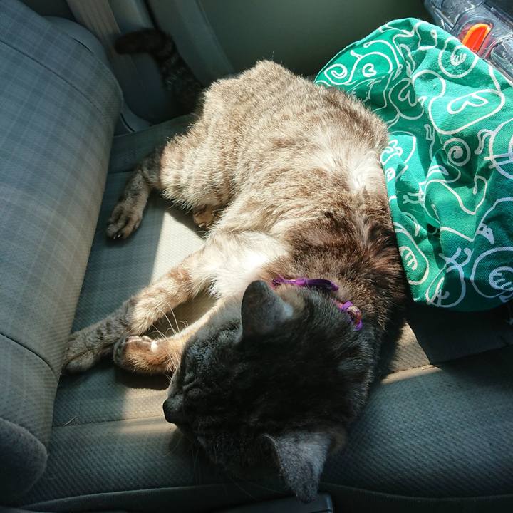 F26b9183 7f3f 4ae2 be55 3ec5eed65a55 1598760614140