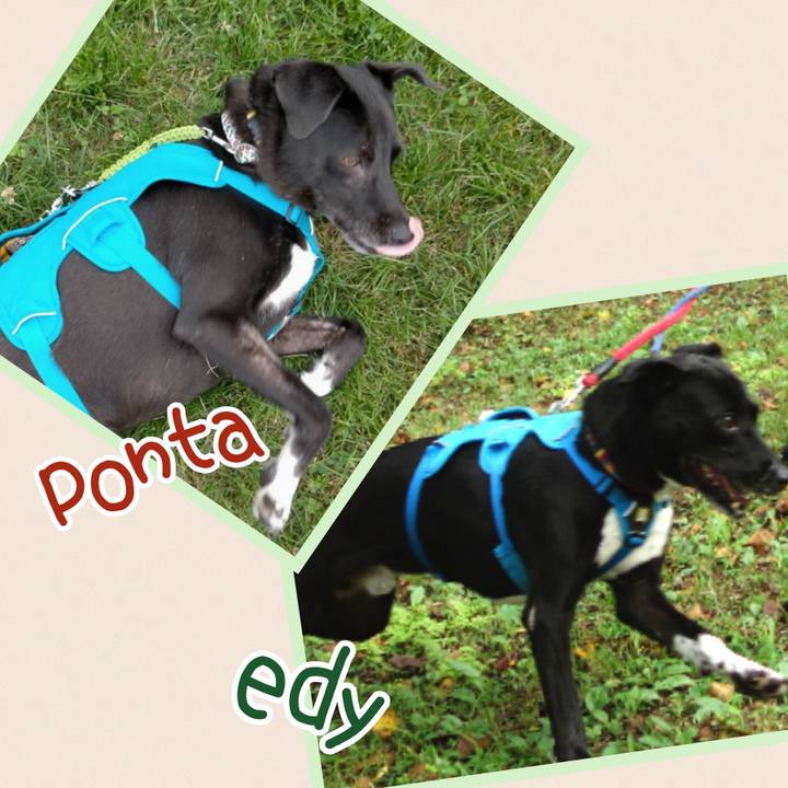 F26b9738 0e68 4df1 80eb 075c3bc9300c 1696687360080