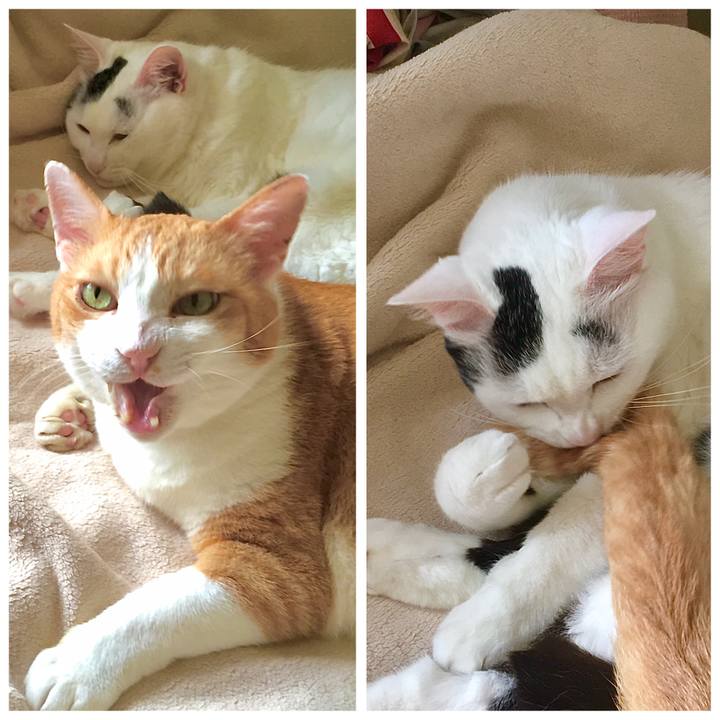 F26bb50f 2ef2 4f4d b603 d99d55e233ca 1593415315014