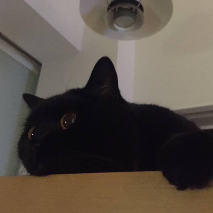 F26bcc9b d974 44e2 96be debb5b246dc8 1570112134261