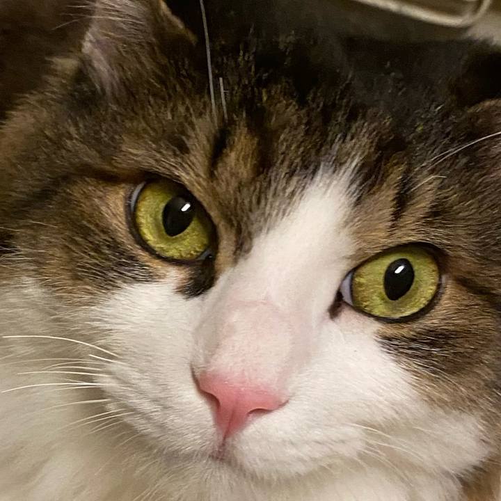 F26c0514 0ab7 4f8f 8607 2ab1f91d299e 1671837682367