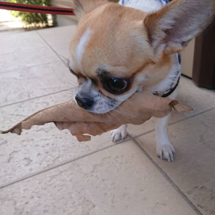 F26c5ffe 486f 4908 bfc1 072a551faa23 1554534405350