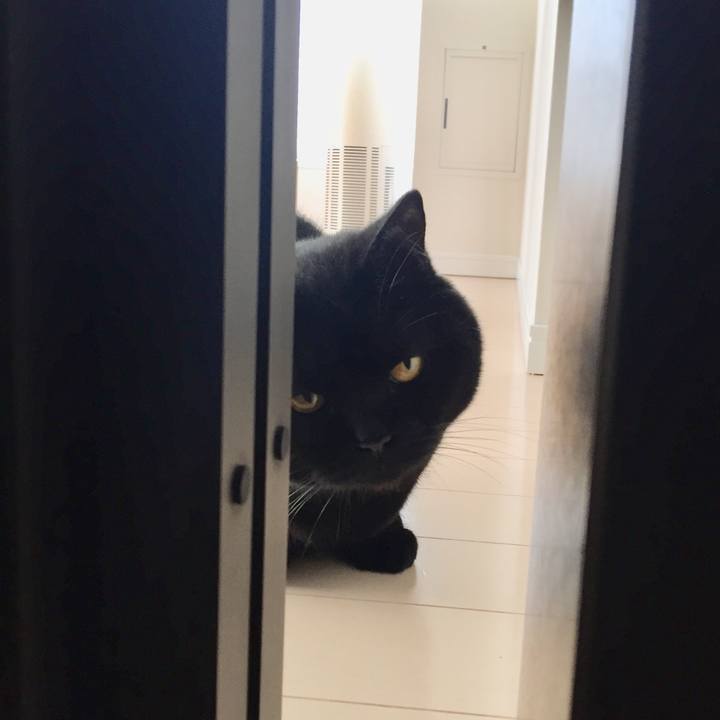 F26c7a55 ff44 41f8 8d1d f14a04143fd5 1527925493544