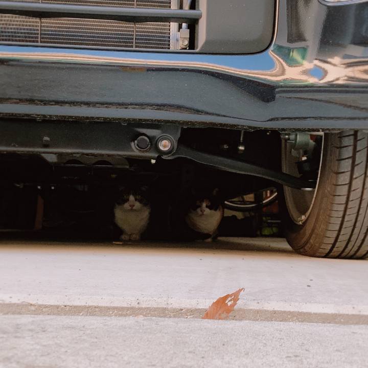 F26c7e7e d534 4256 abc0 0d0830ad30df 1554863231590