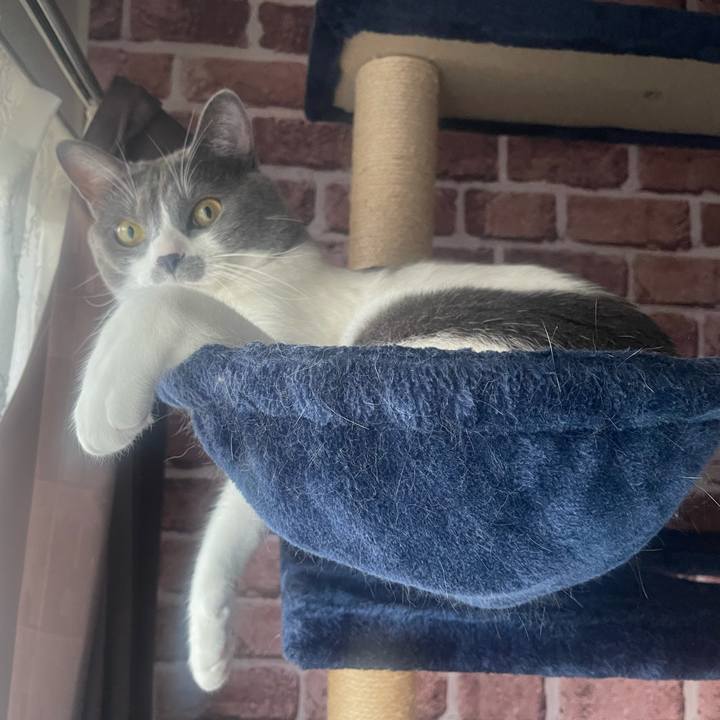 F26c8523 19a7 4bd8 a065 03d9fb5b0217 1630357089504